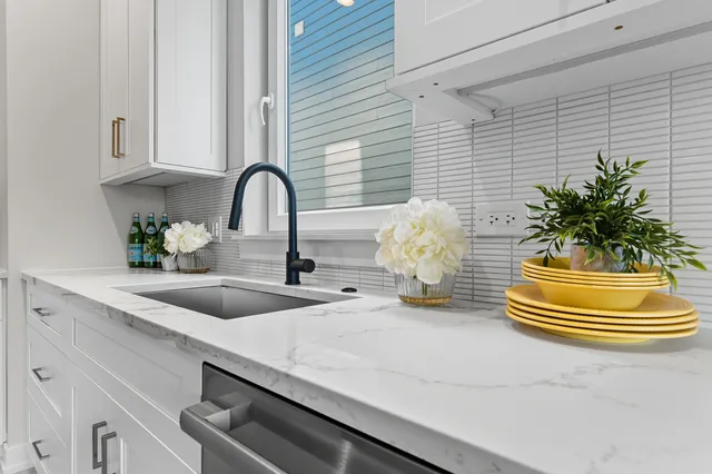 a kitchen with a sink and a potted plant