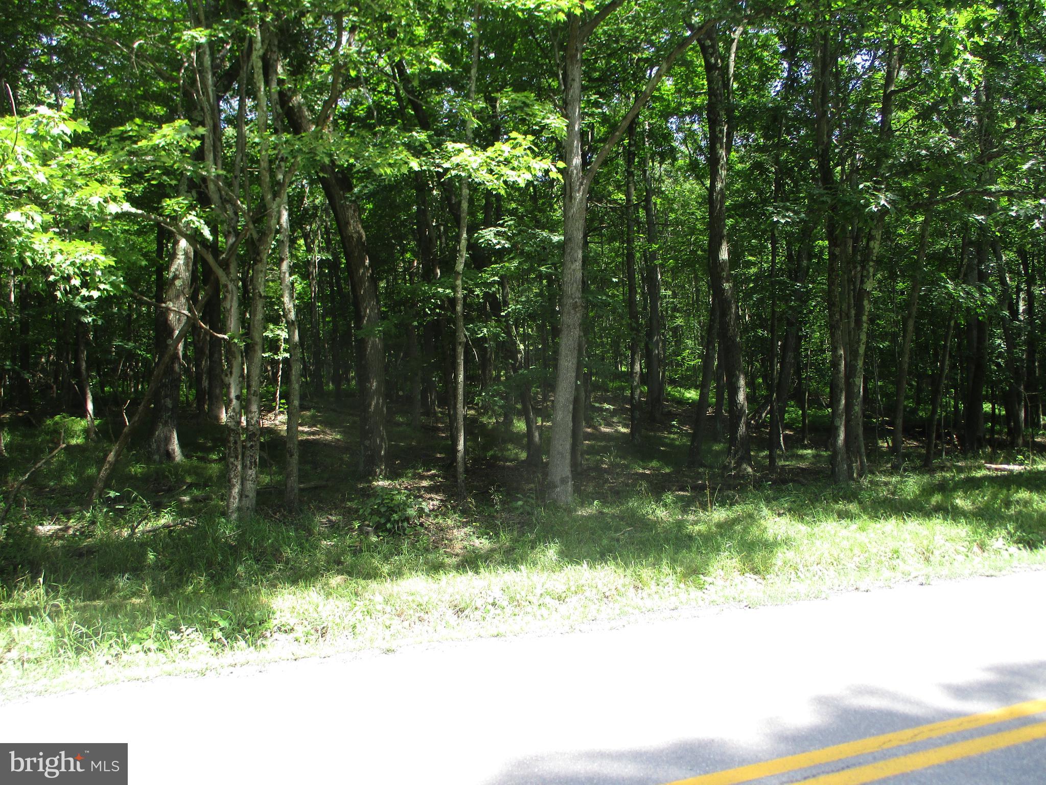Bethlehem Road Oakland, MD 21550 - Photo 4 of 7