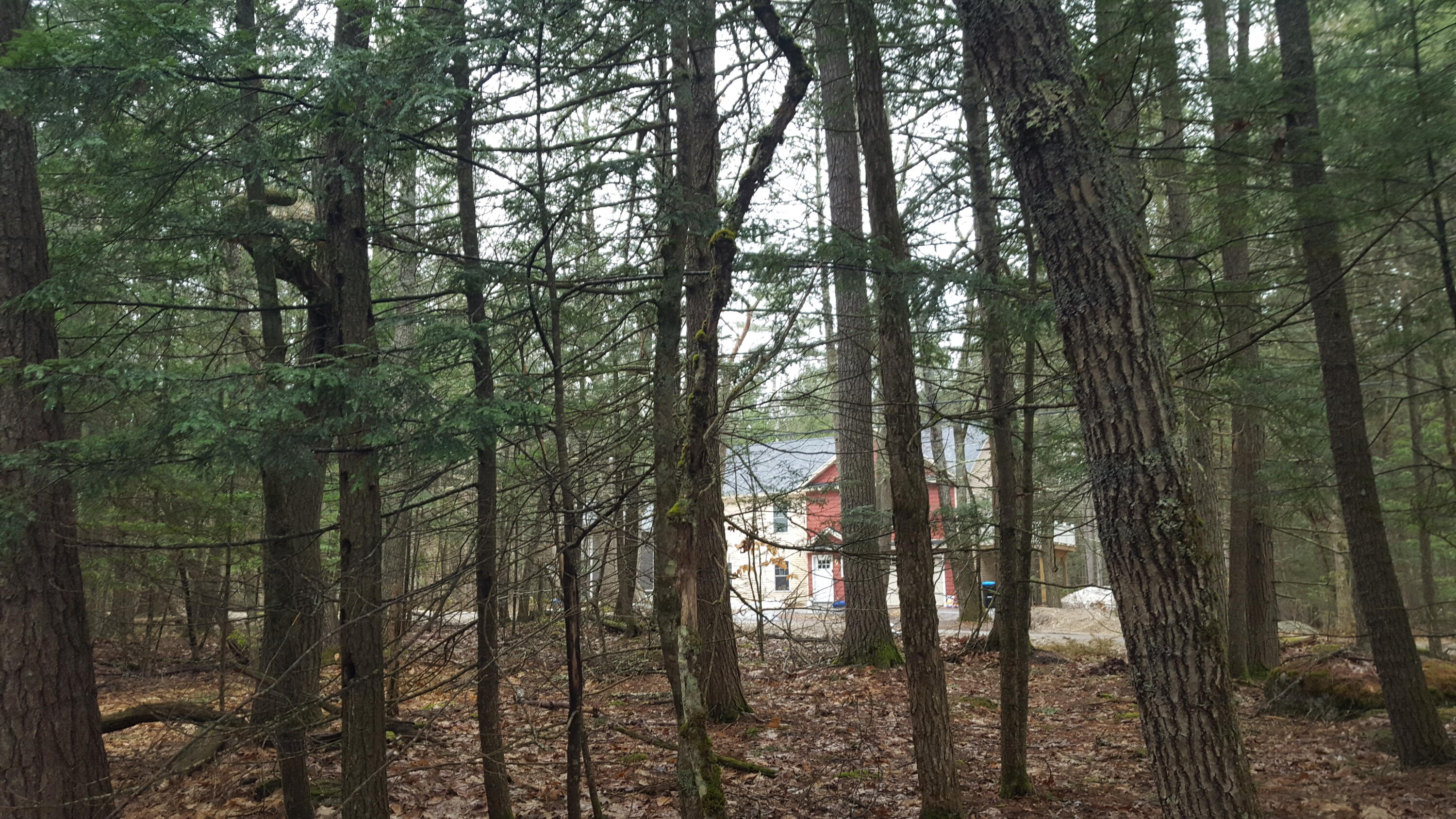 53 Johnson Road Windham, ME 04062 - Photo 20 of 22
