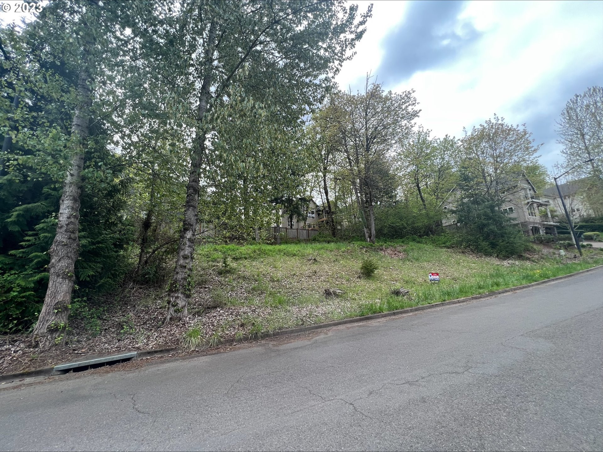 6253 Fernhill Loop Springfield, OR 97478 - Photo 1 of 5 a view of a yard with potted plants and large trees