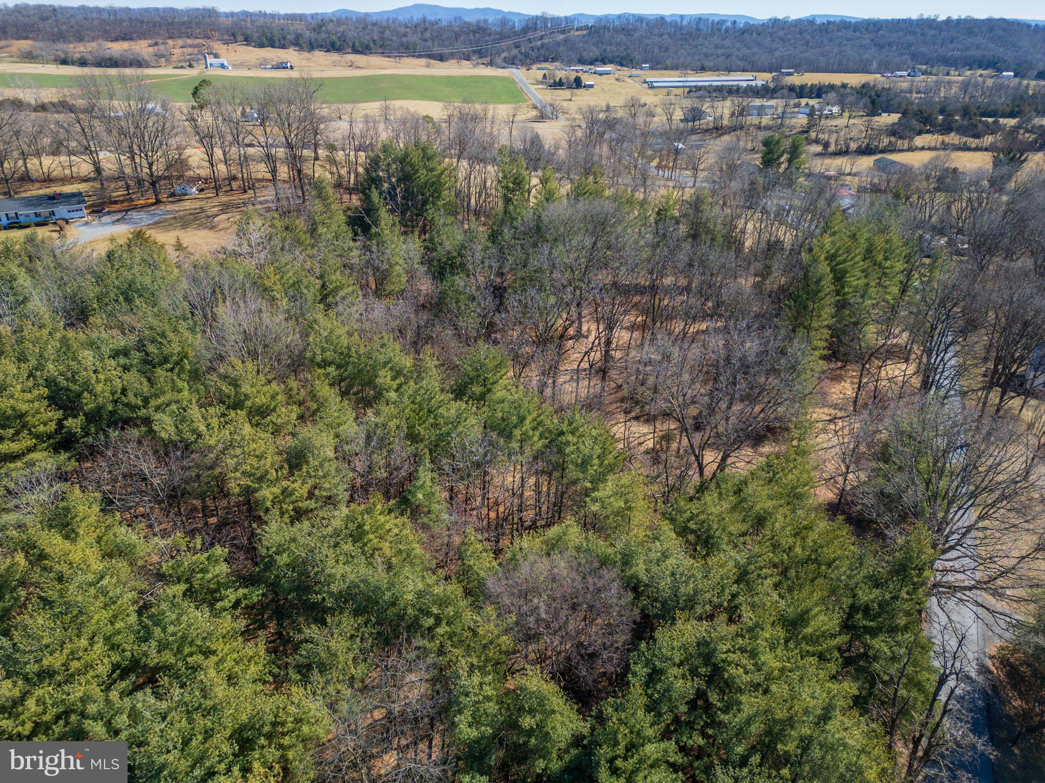 0 Fairview Road Mount Crawford, VA 22841 - Photo 15 of 16 an aerial view of residential houses with outdoor space and trees
