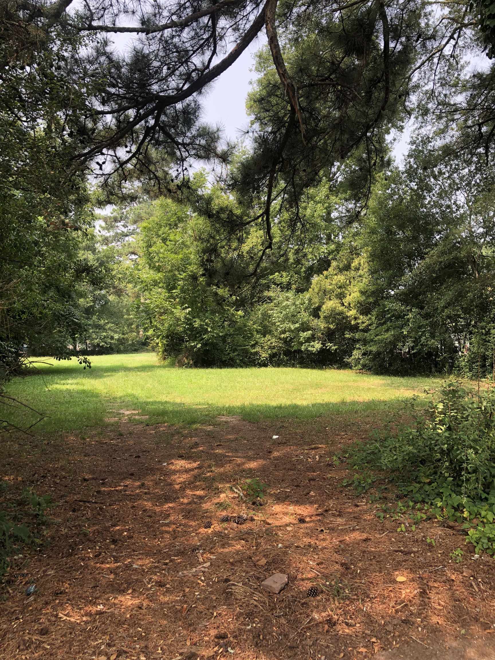 76 Spring Street Lavonia, GA 30553 - Photo 1 of 1 a view of a field with grass and trees