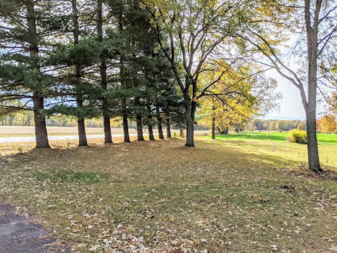 11700 Hadley Road Homer, MI 49245 - Photo 34 of 36 11700 Hadley 9