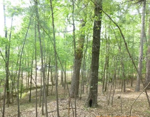 $46,000 | Lot 8-block 15 Colleen Port, McCormick, SC 29835