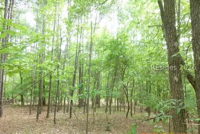 $46,000 | Lot 8-block 15 Colleen Port, McCormick, SC 29835