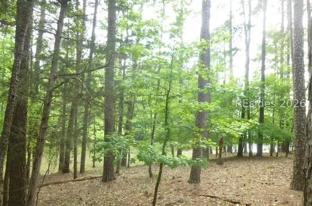 $46,000 | Lot 8-block 15 Colleen Port, McCormick, SC 29835