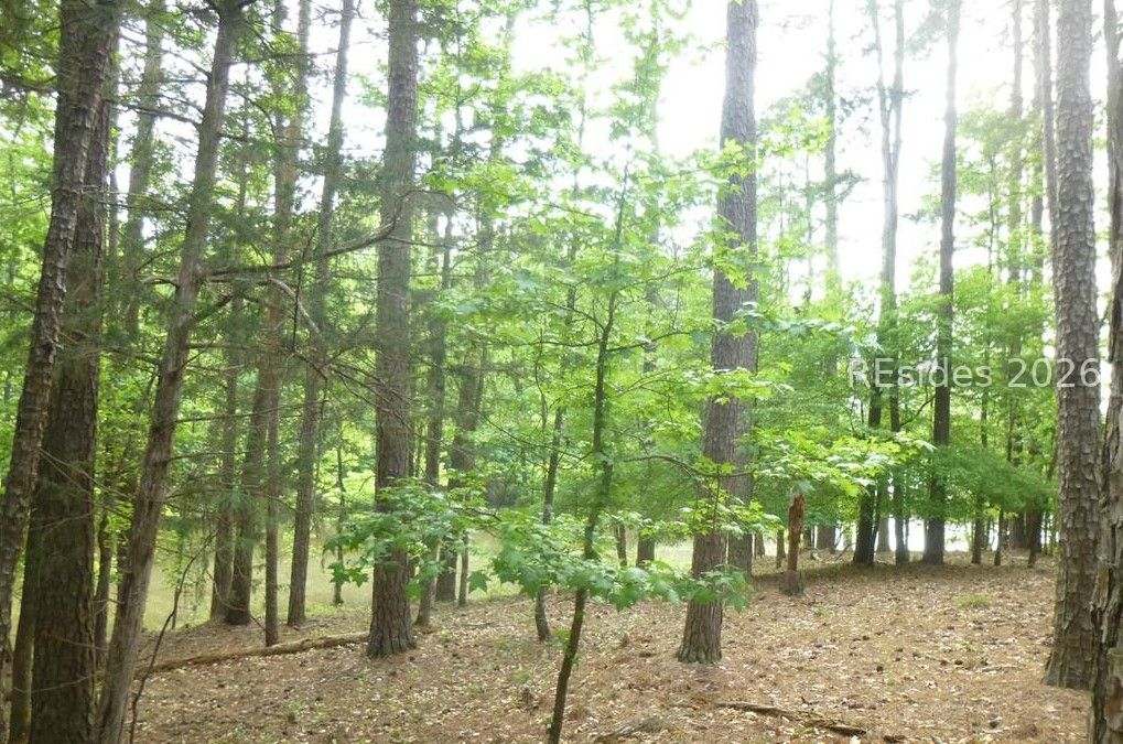 Lot 8-block 15 Colleen Port McCormick, SC 29835 - Photo 4 of 5