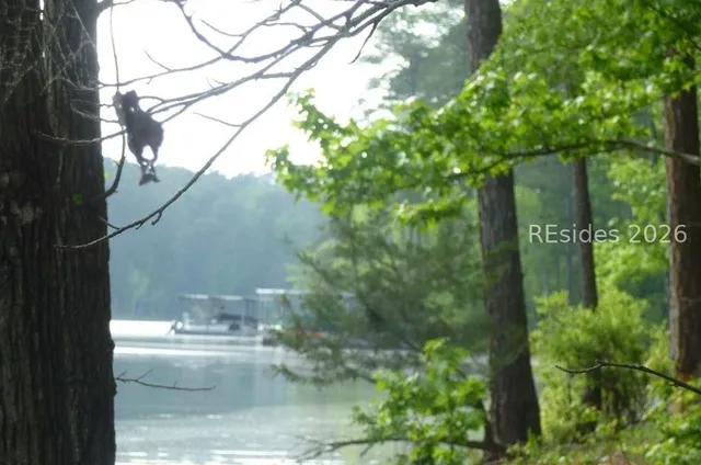 $46,000 | Lot 8-block 15 Colleen Port, McCormick, SC 29835