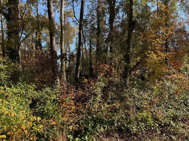 $39,000 | 0 Apache Drive, Jackson, GA 30233