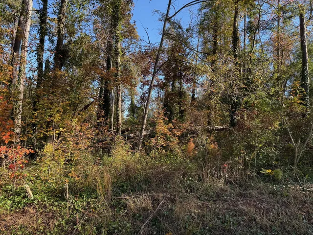 $39,000 | 0 Apache Drive, Jackson, GA 30233