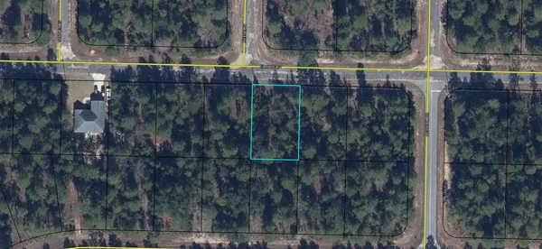 $19,500 | Lot 16 Elmore Street, Chipley, FL 32428