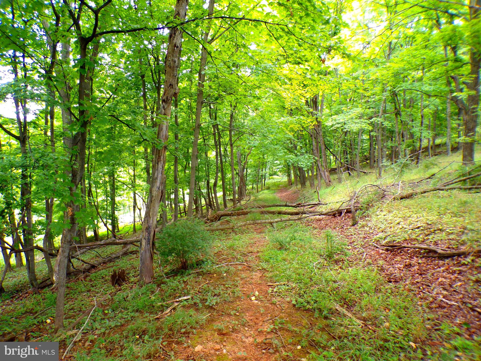 10.1 Waxler Road Keyser, WV 26726 - Photo 2 of 9 Gallery Image 2