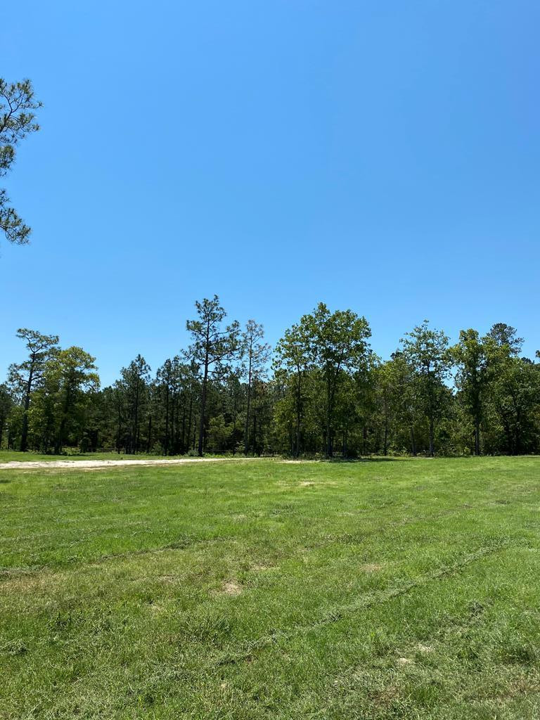 163 Pearl Bonnett Road Windsor, SC 29856 - Photo 35 of 38