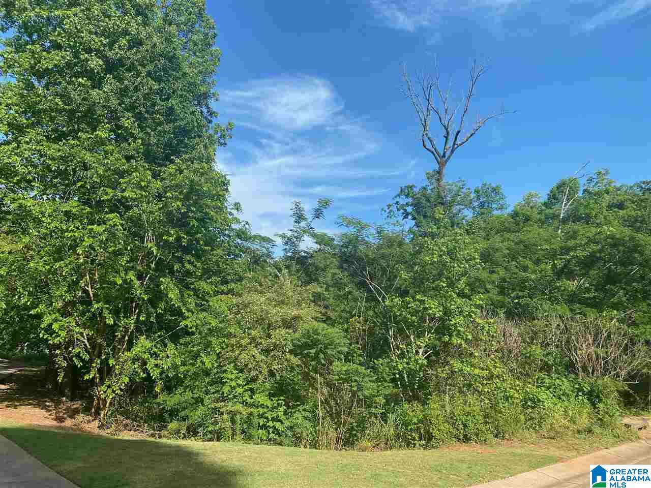0 Wynwood Road, Unit 12 Trussville, AL 35173 - Photo 2 of 4