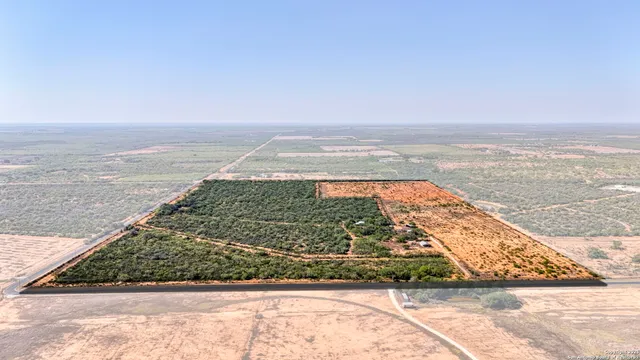 a view of a backyard with a tree