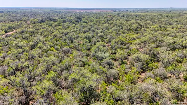 a view of an ocean and beach