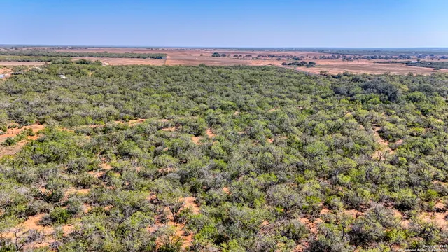 $1,000,000 | 3530 County Road 331, Jourdanton, TX 78026