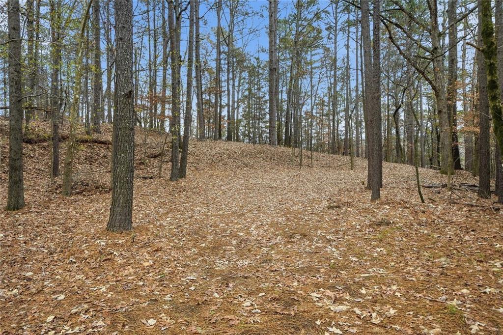 3779 Lawrenceville-Suwanee Road Suwanee, GA 30024 - Photo 5 of 23