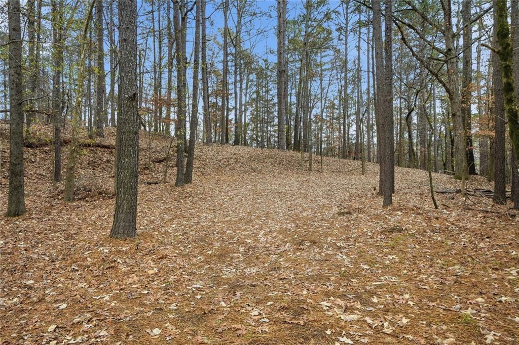 3779 Lawrenceville-Suwanee Road Suwanee, GA 30024 - Photo 5 of 13 a backyard of a house with lots of green space