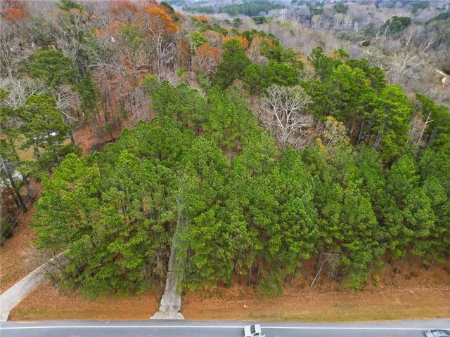 a view of a yard with plants and a wooden fence