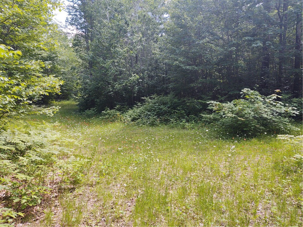 0 Forest Road Mason, WI 54856 - Photo 1 of 1
