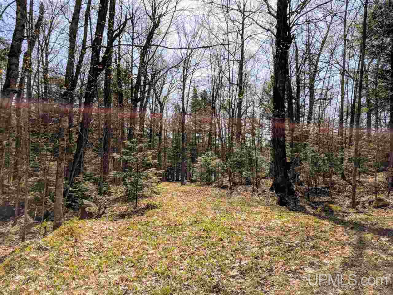 528 Red Road Michigamme, MI 49861 - Photo 48 of 50 Gallery Image 48
