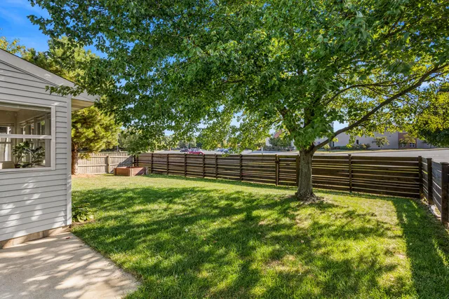 a backyard of a house with plants and large trees