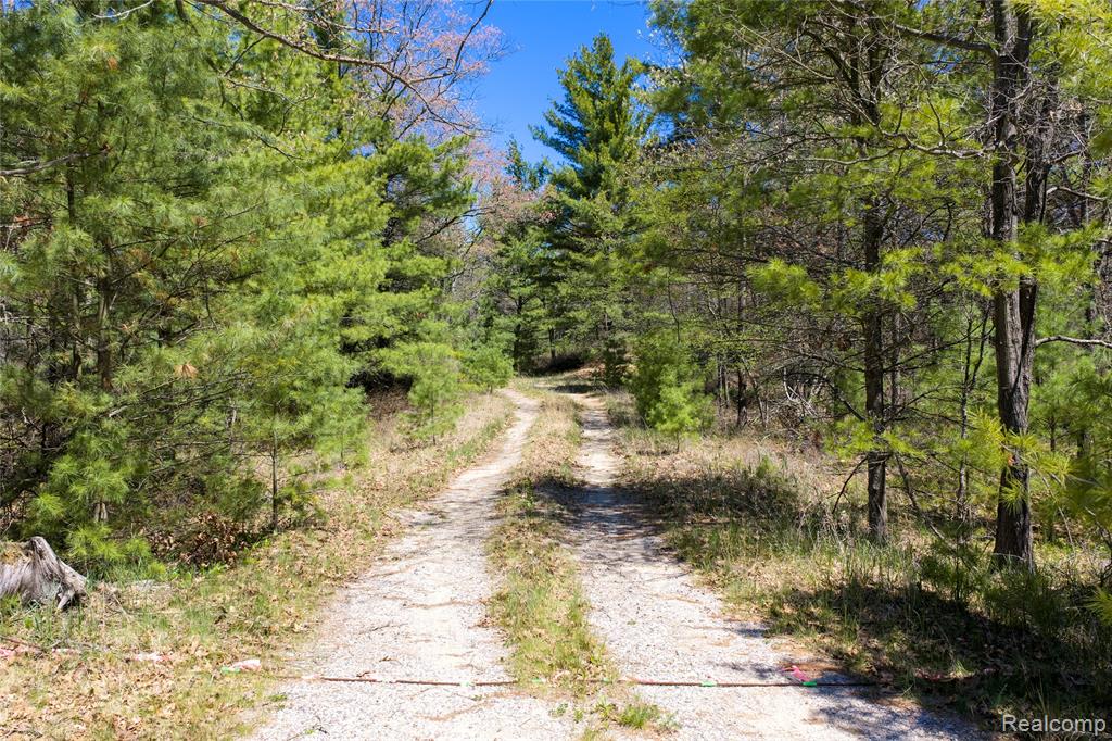 0 Scott Road East Tawas, MI 48730 - Photo 15 of 17