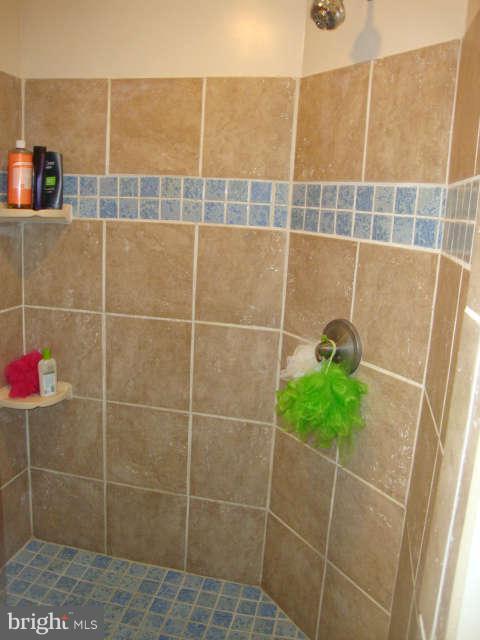 3311 Dublin Manor Road Street, MD 21154 - Photo 19 of 30 LLBath w/oversized tiled shower