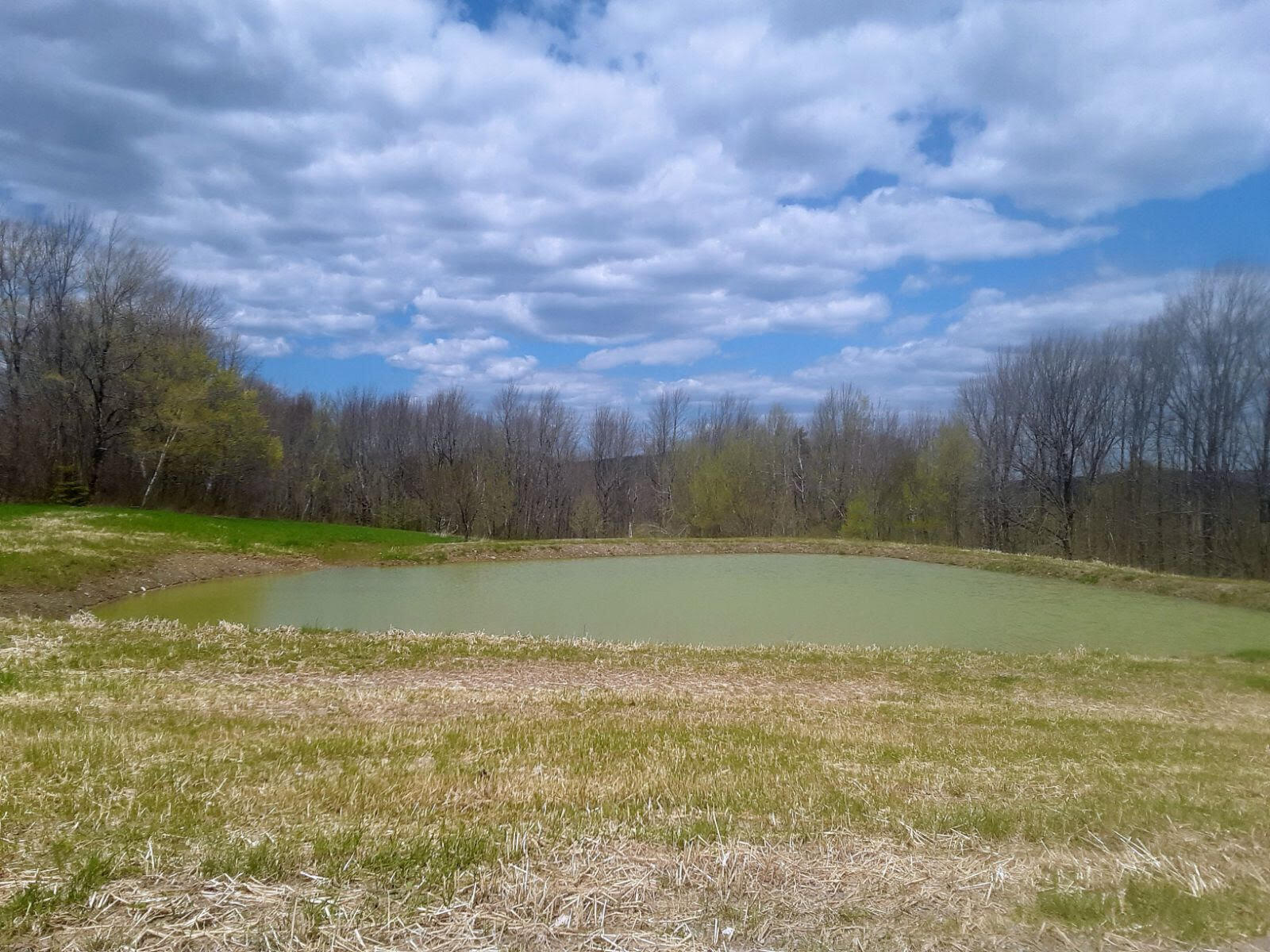 322 Edwards Road Jackson, ME 04921 - Photo 20 of 61 Pond 1