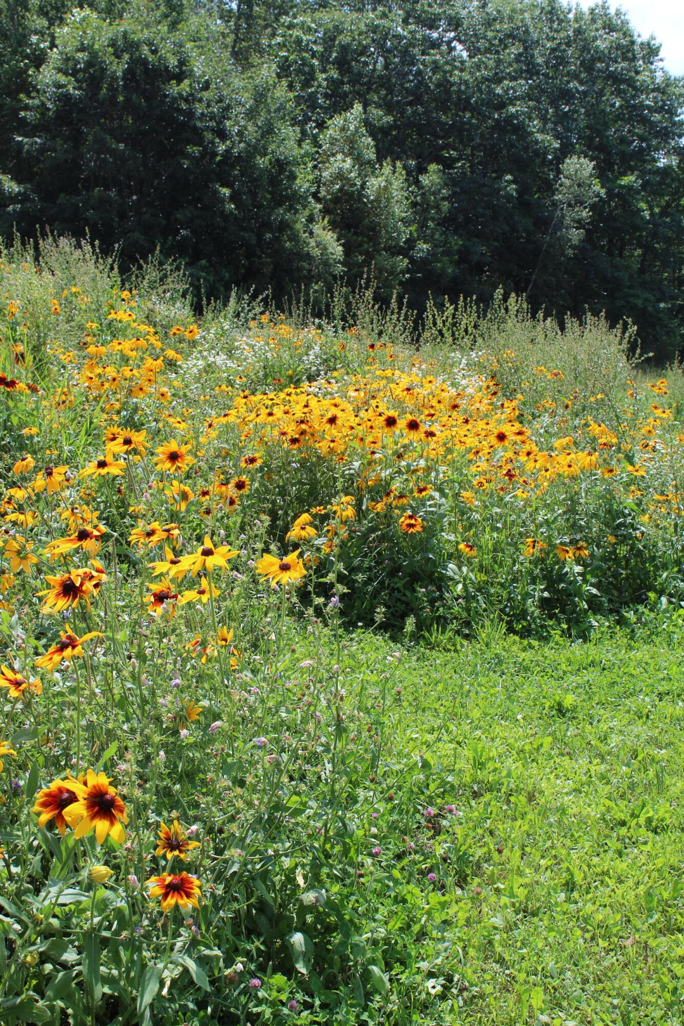 322 Edwards Road Jackson, ME 04921 - Photo 58 of 61 IMG_1083