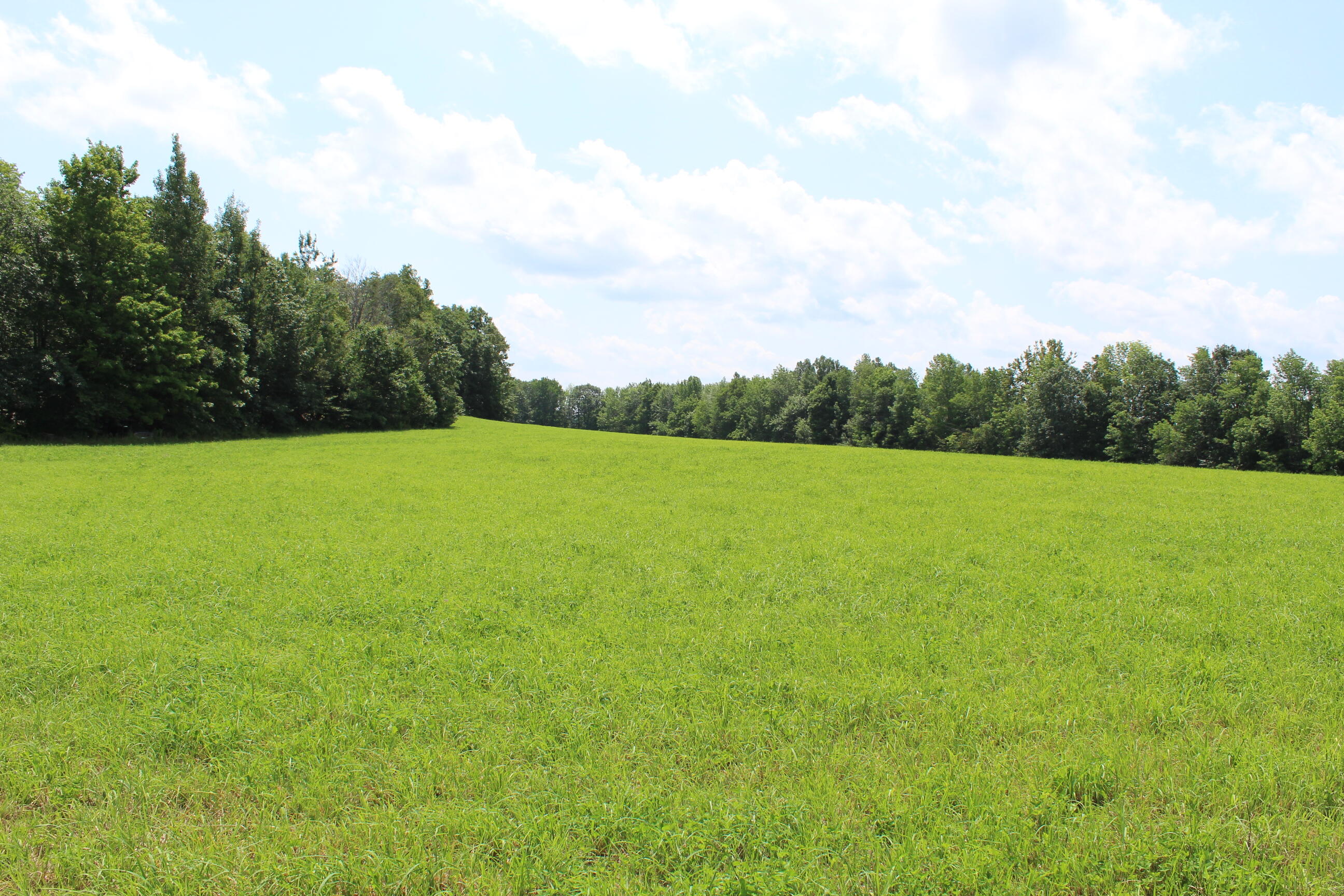 322 Edwards Road Jackson, ME 04921 - Photo 61 of 61 IMG_1100