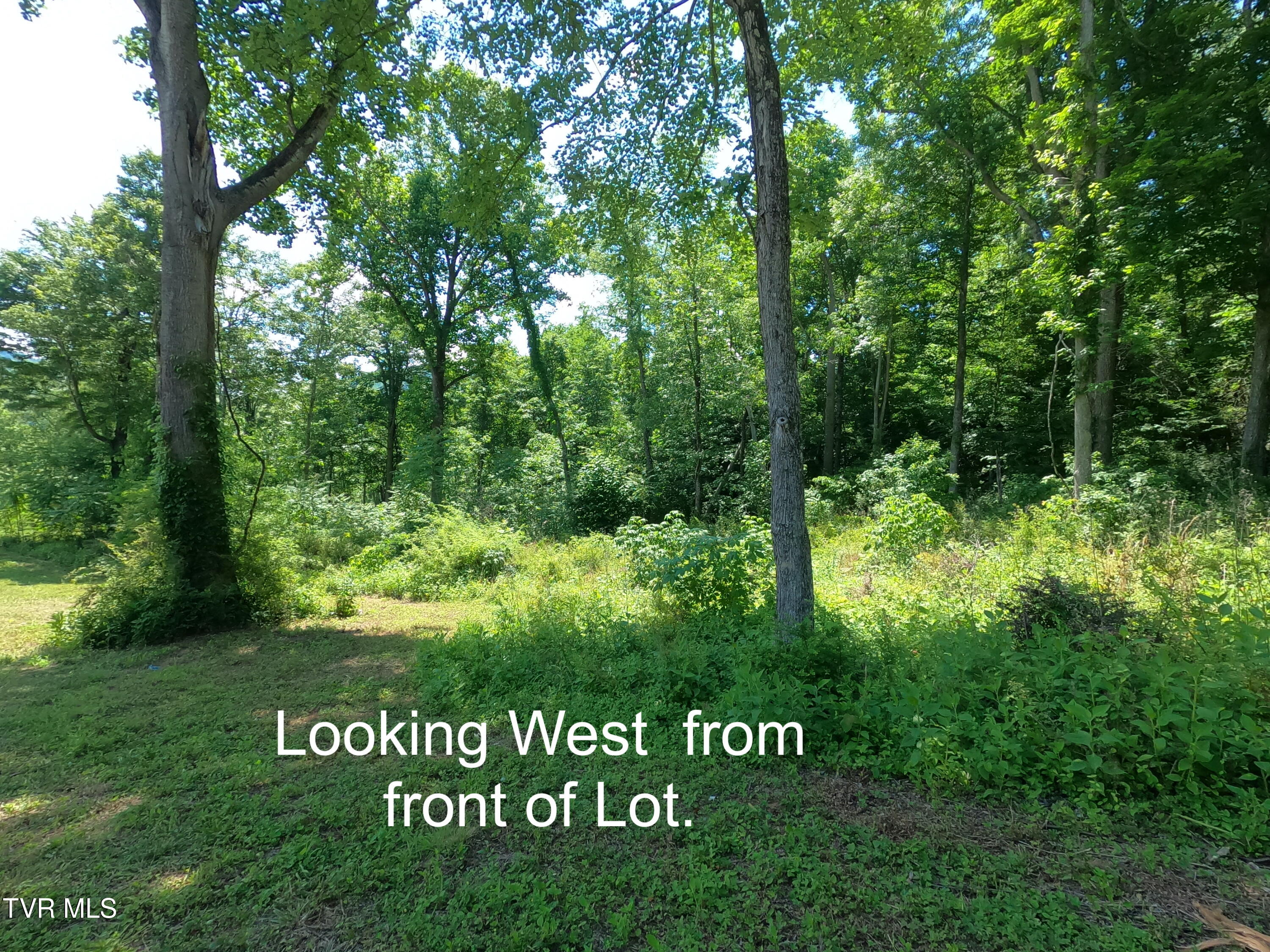 Lot 40 Cowan Town Road, Unit 40 Butler, TN 37640 - Photo 15 of 117 GOPR4016