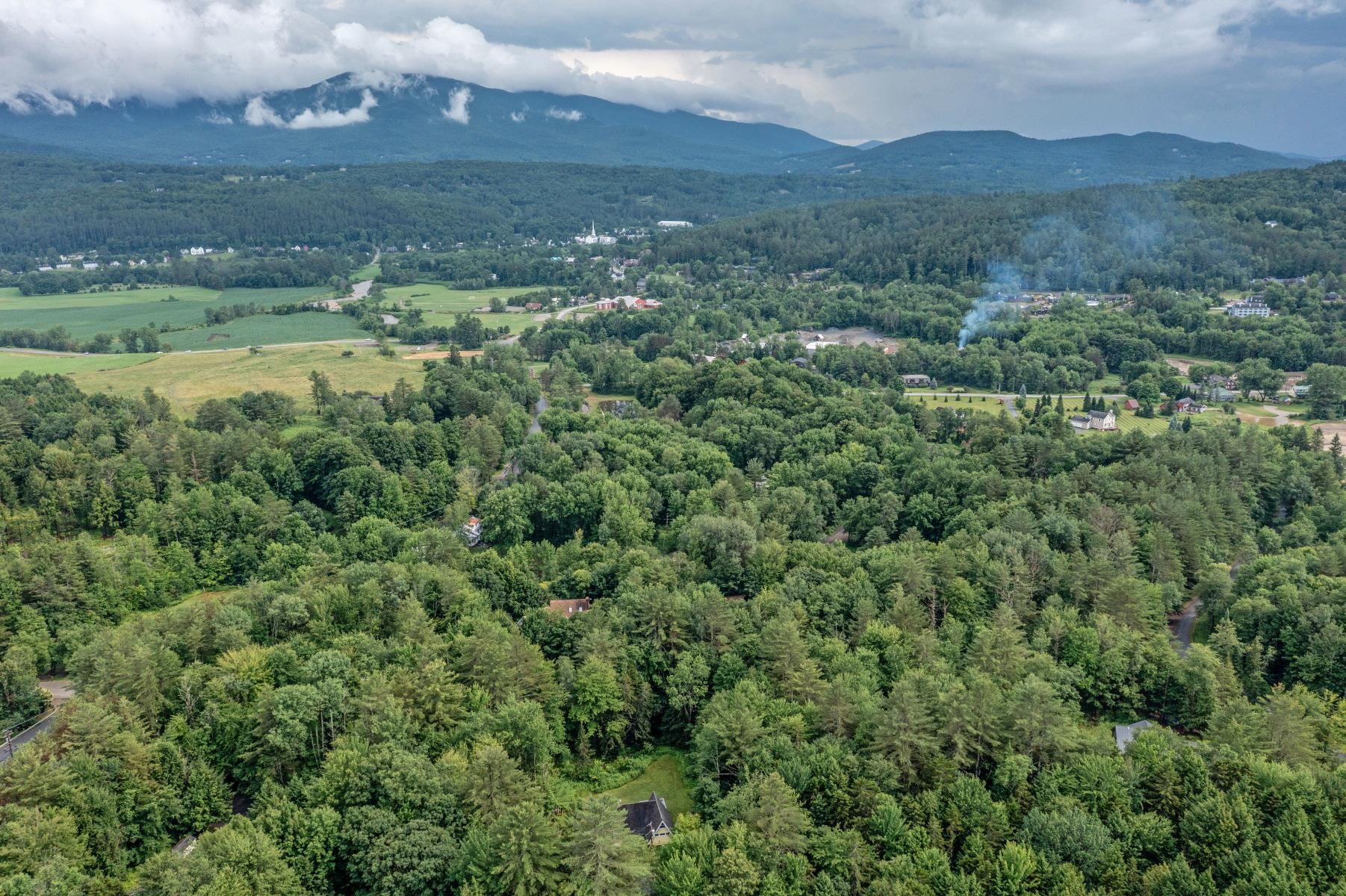 95 Alpine Meadows Stowe, VT 05672 - Photo 41 of 45