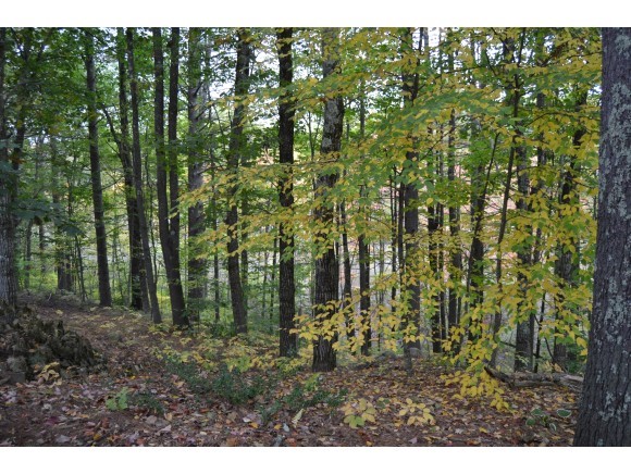 152 Roberts Road Barrington, NH 03825 - Photo 14 of 29 Gallery Image 14