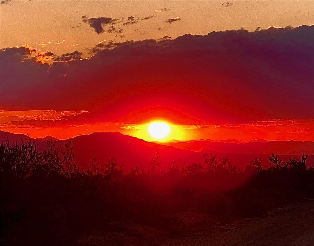 245-21-008 South Ray Road Yucca, AZ 86438 - Photo 5 of 19