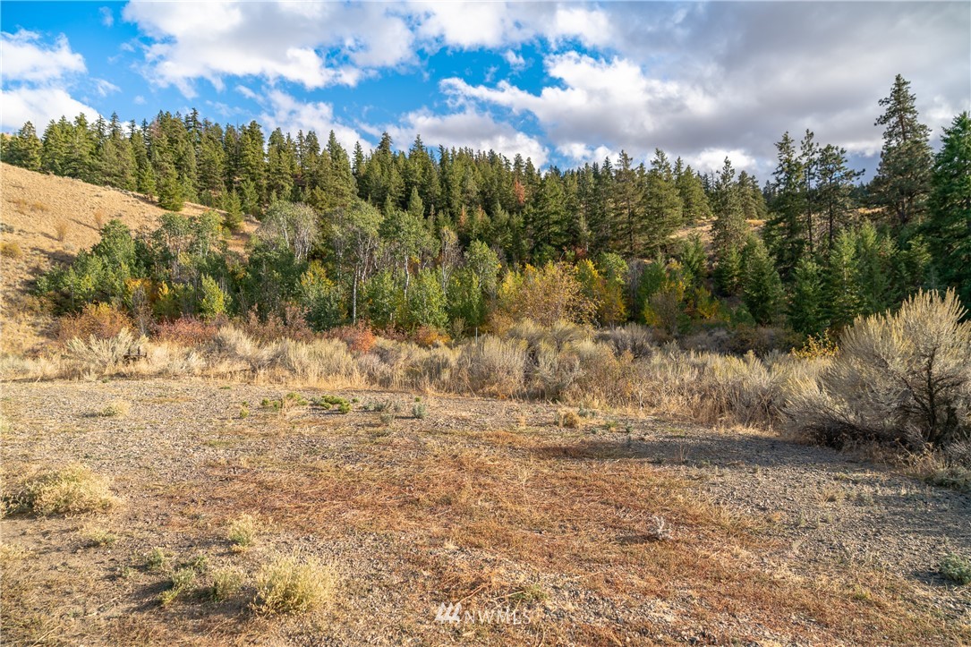 2214 Black Rock Road Orondo, WA 98843 - Photo 22 of 40 Gallery Image 22