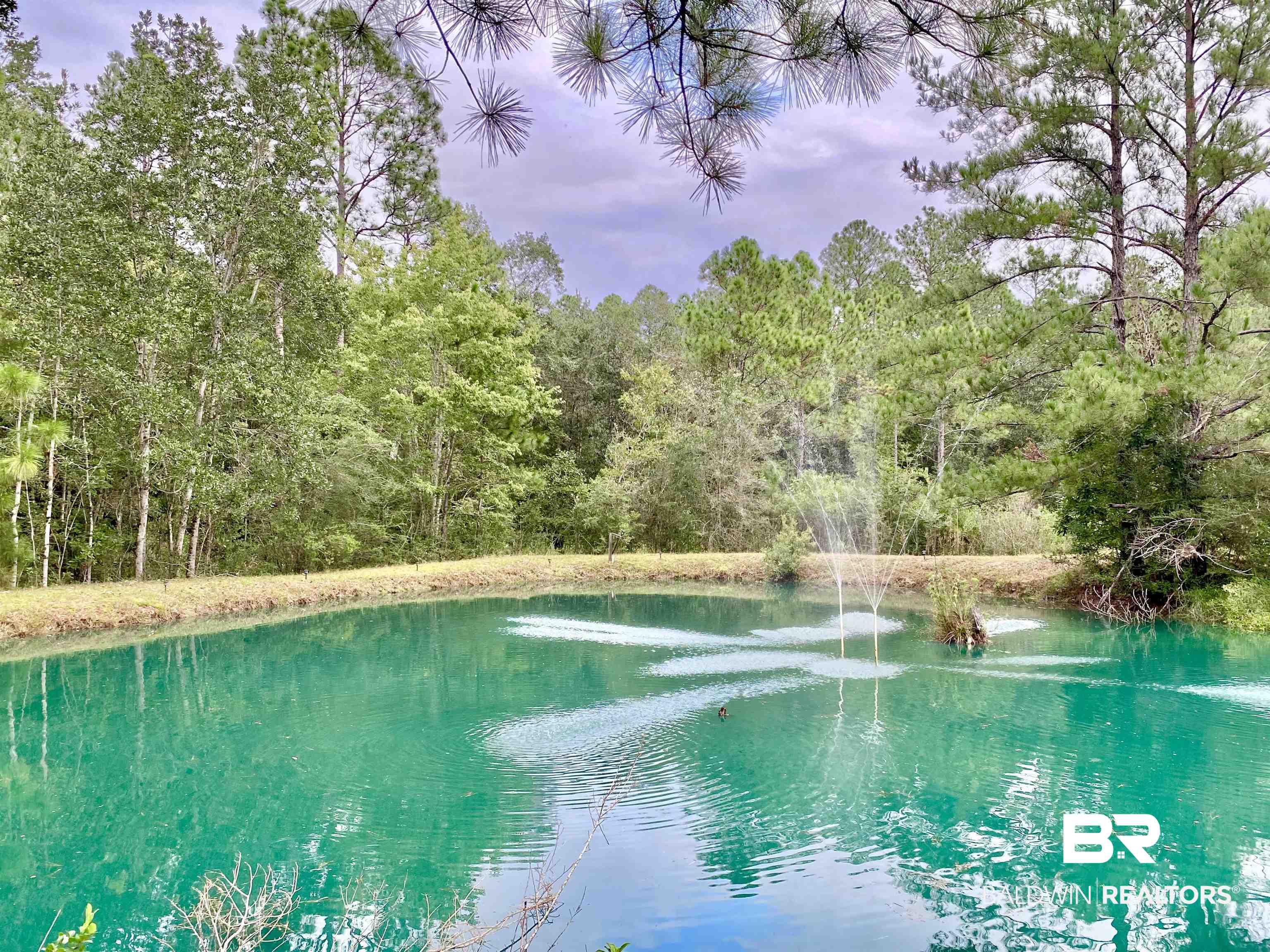 21305 River Road Robertsdale, AL 36567 - Photo 2 of 50