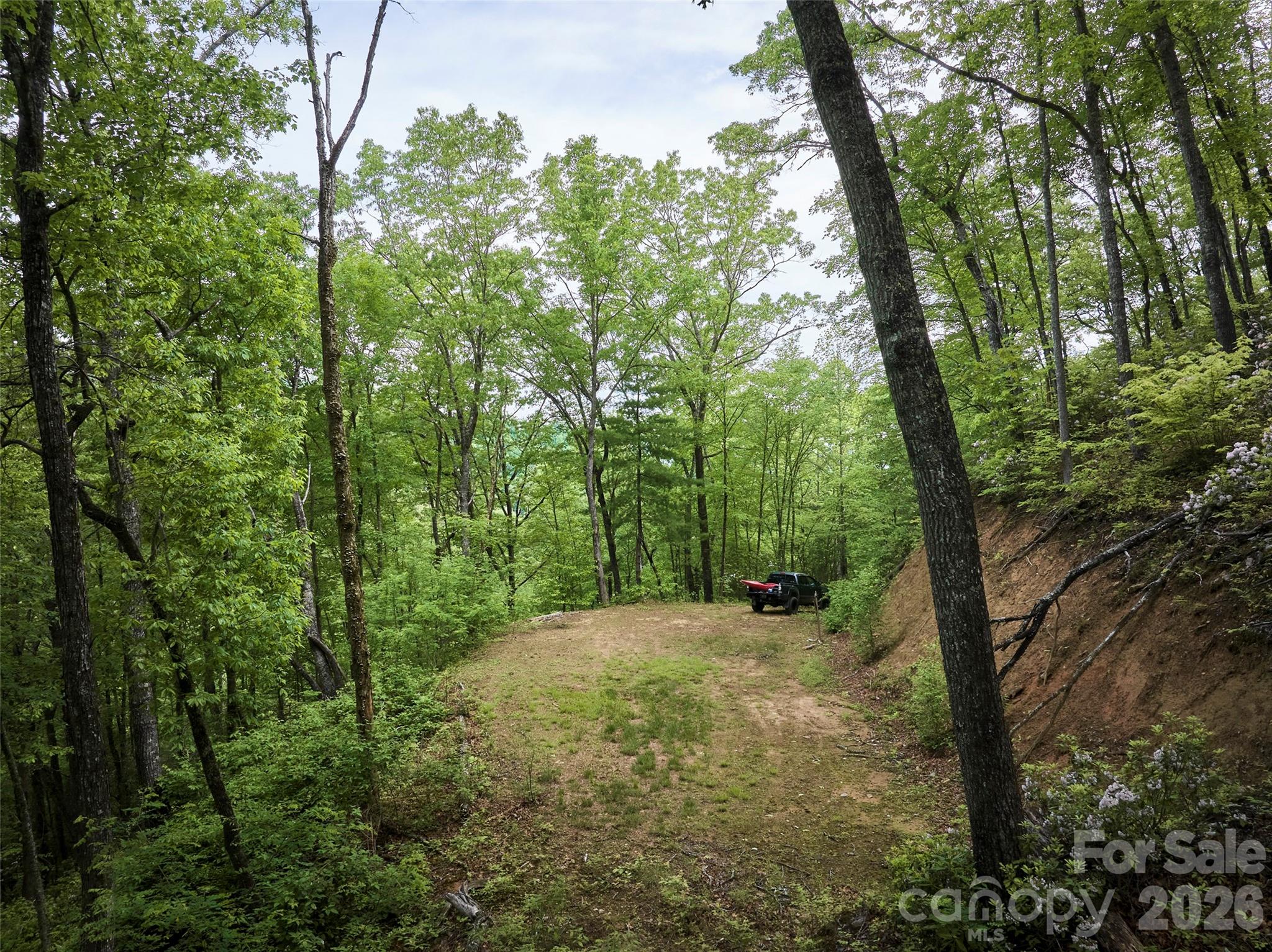 0 Holly House Road Bryson City, NC 28713 - Photo 11 of 20 a view of a forest with trees