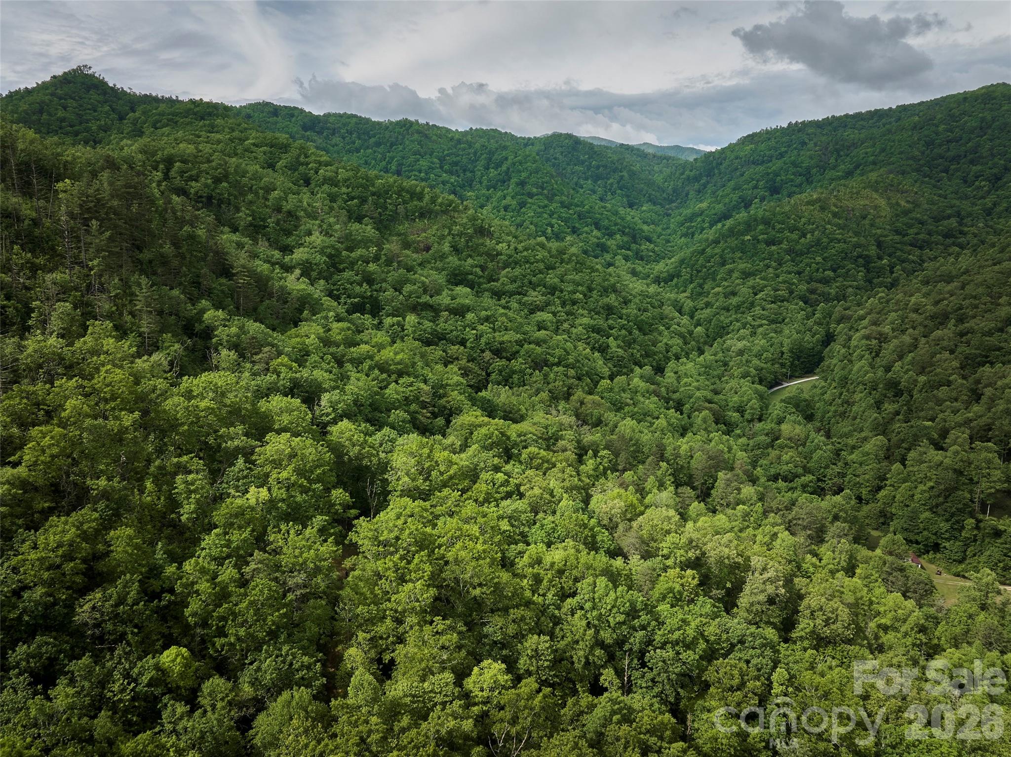 0 Holly House Road Bryson City, NC 28713 - Photo 16 of 20 a view of a lush green forest with lots of trees