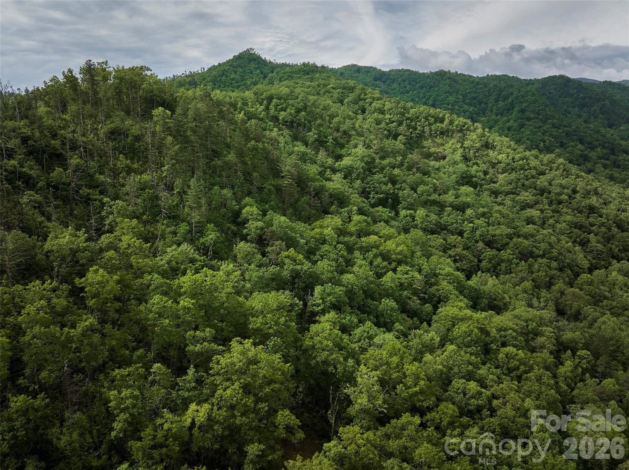 0 Holly House Road Bryson City, NC 28713 - Photo 17 of 20 a view of a city with lush green forest