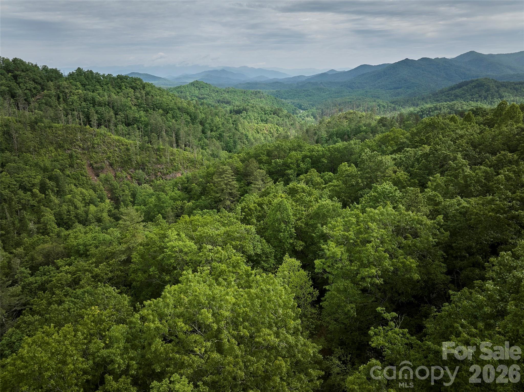 0 Holly House Road Bryson City, NC 28713 - Photo 19 of 20 a view of a lush green hillside and a houses