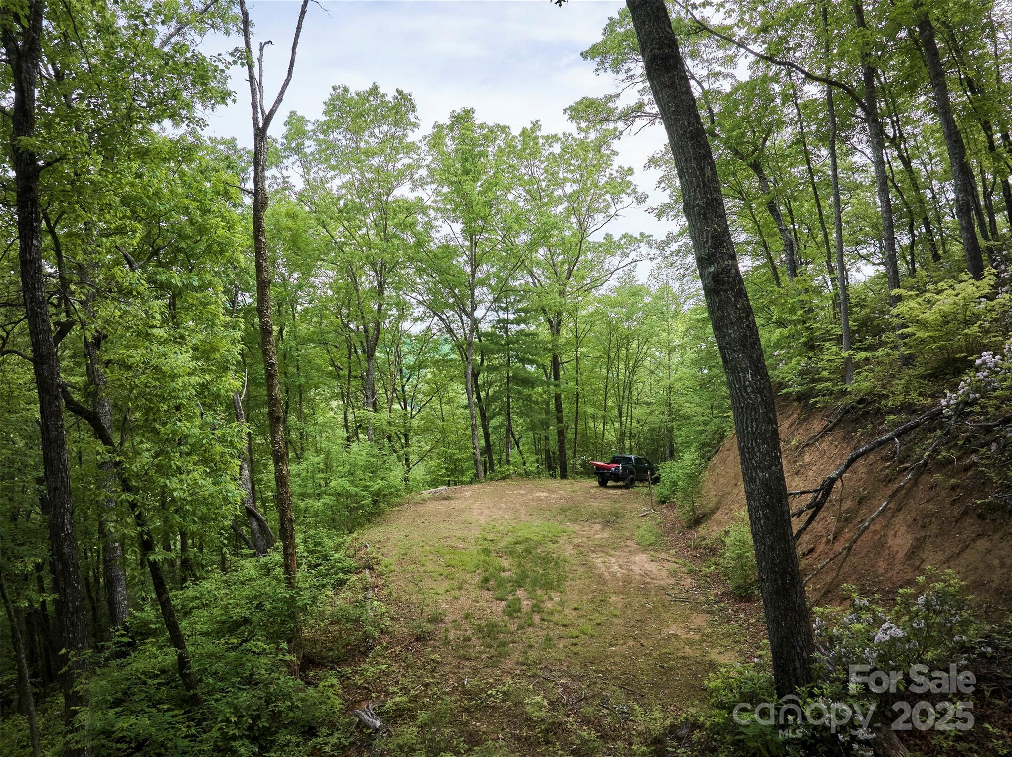 0 Holly House Road Bryson City, NC 28713 - Photo 2 of 11 a view of a forest