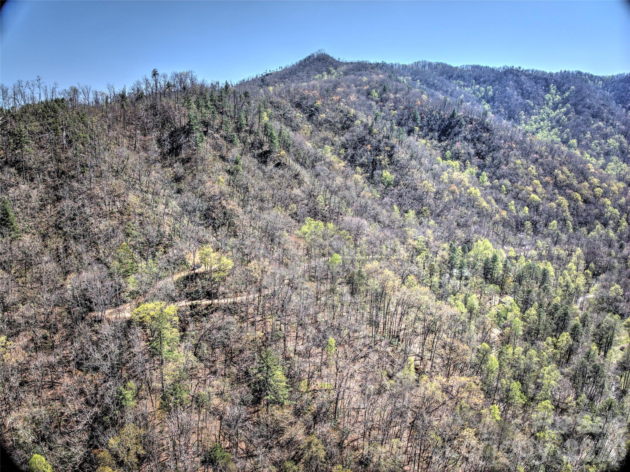 0 Holly House Road Bryson City, NC 28713 - Photo 2 of 20 a view of a bunch of trees in a field