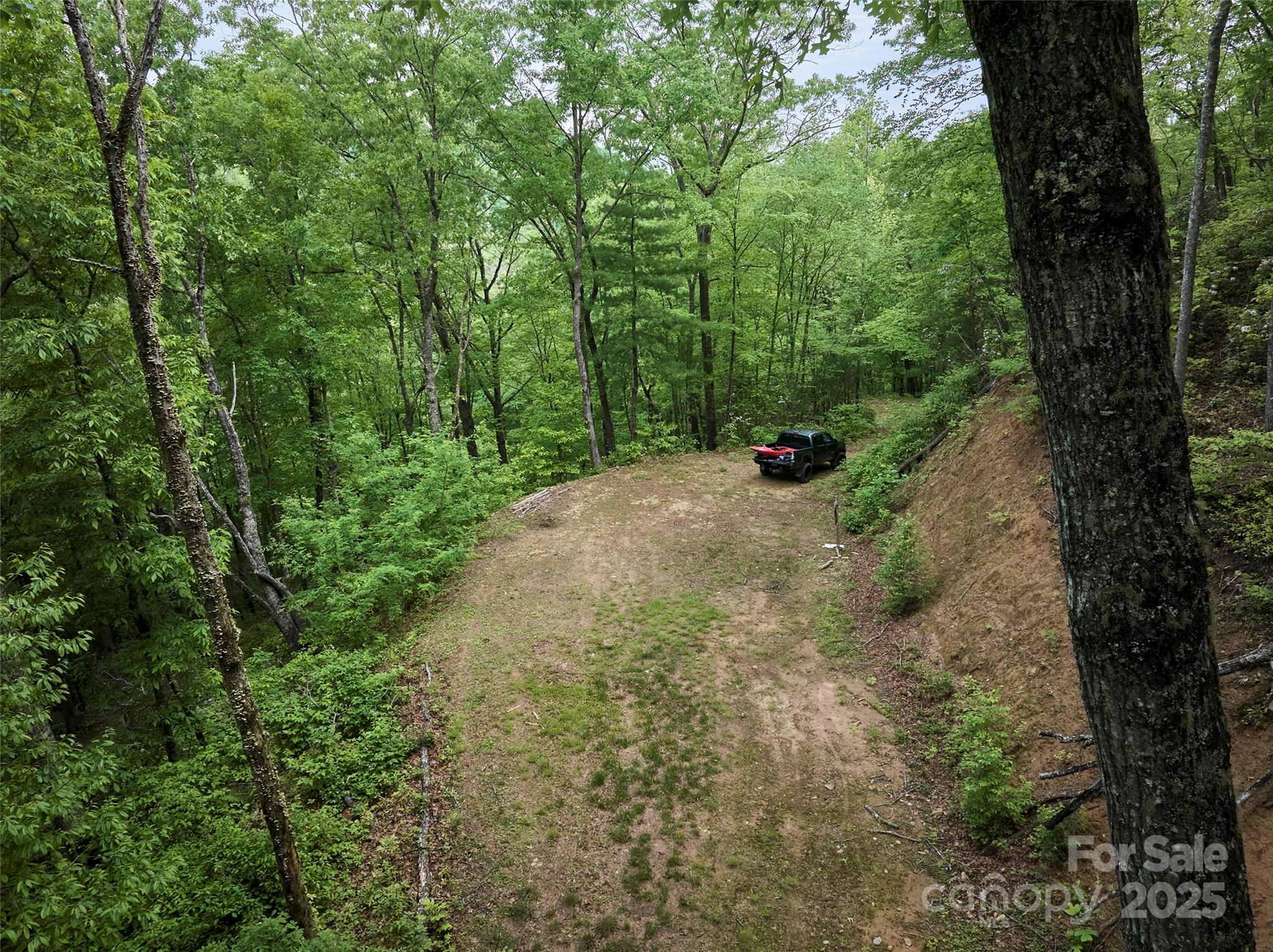 0 Holly House Road Bryson City, NC 28713 - Photo 3 of 11 a view of a forest with trees in the background