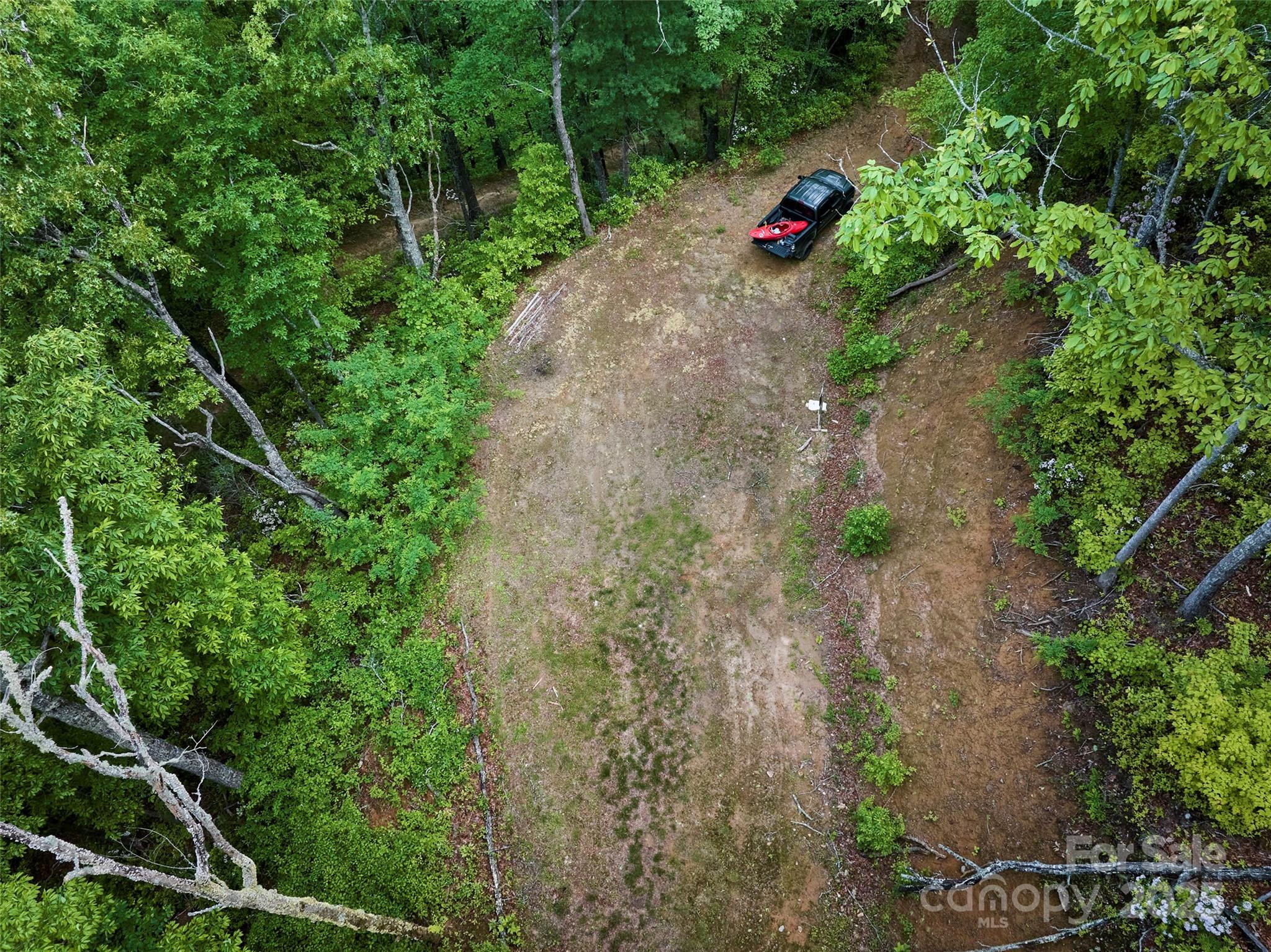 0 Holly House Road Bryson City, NC 28713 - Photo 4 of 11 an outdoor view of a garden