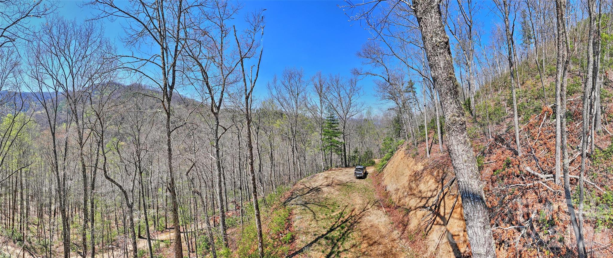 0 Holly House Road Bryson City, NC 28713 - Photo 5 of 20 a view of a backyard
