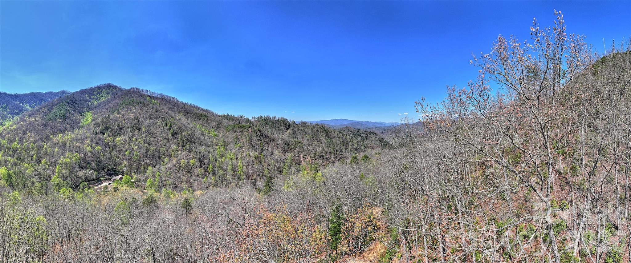 0 Holly House Road Bryson City, NC 28713 - Photo 6 of 20 a view of a dry yard with mountains in the background