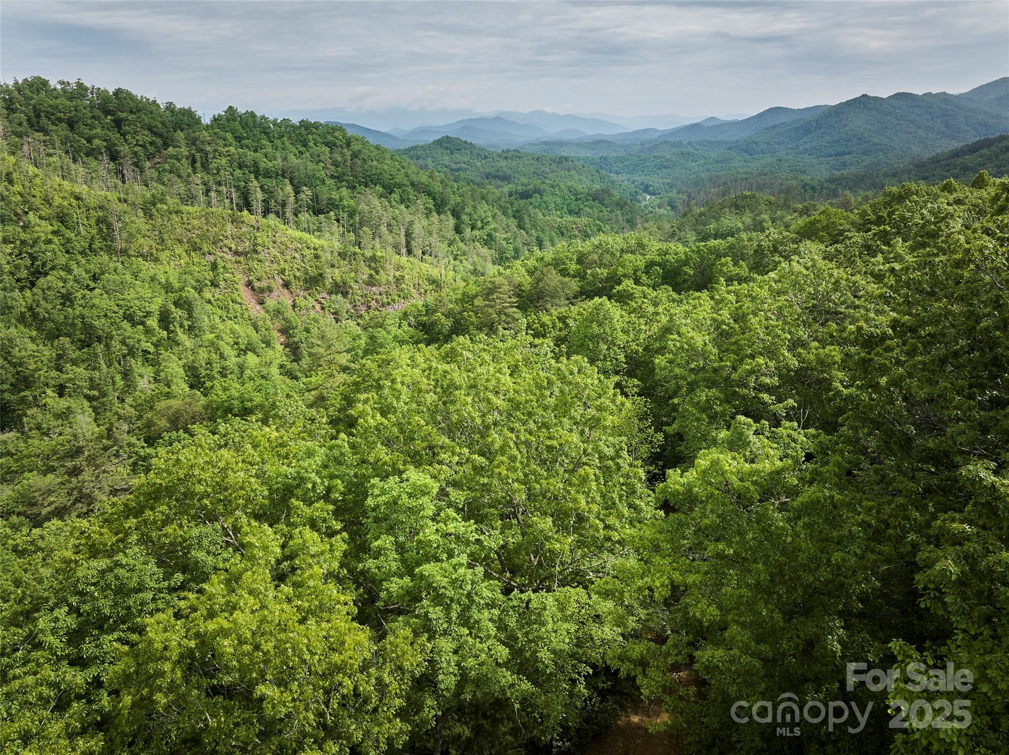 0 Holly House Road Bryson City, NC 28713 - Photo 6 of 11 a view of a lush green field with a mountain in the background