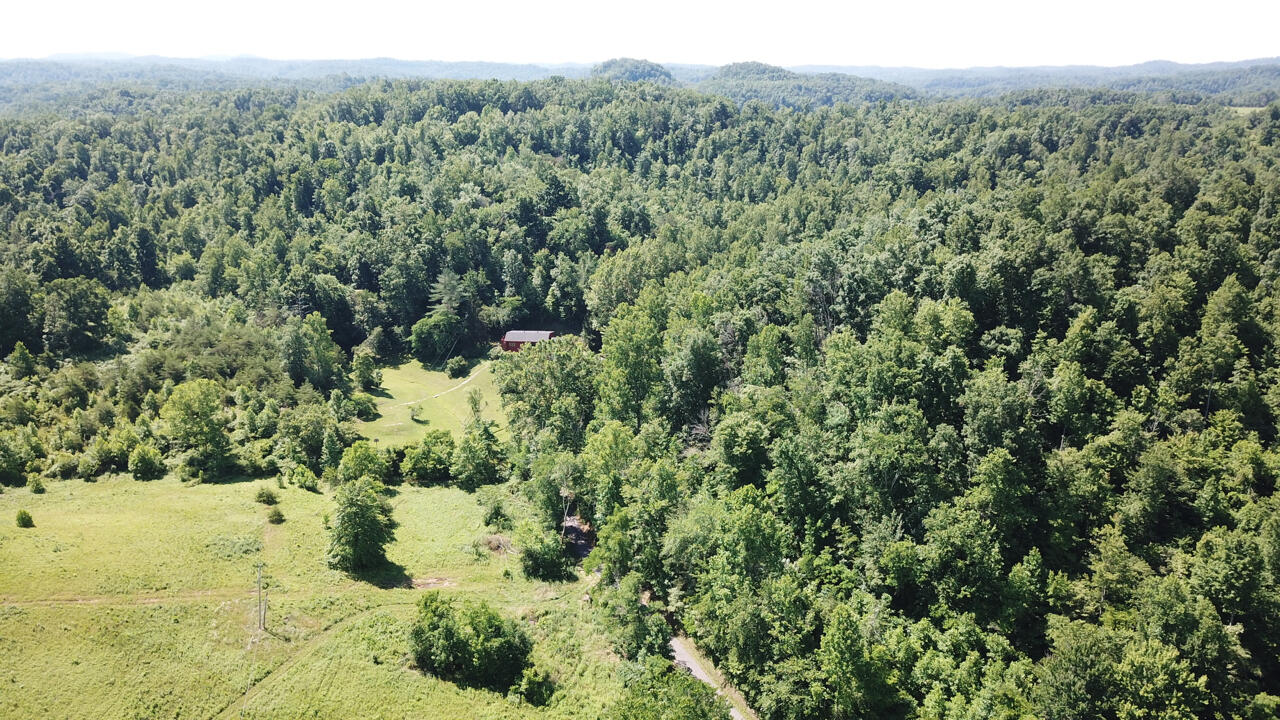 2080 Langnau Road London, KY 40741 - Photo 59 of 75 DJI_0240